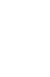 The Alpaca Rug Company